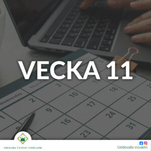 vecka 11